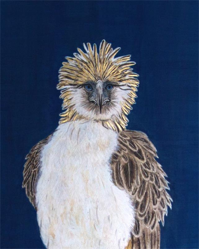 Philippine Eagle, Critically Endangered